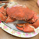 นิตยา ส.กุ้งเป็น - 