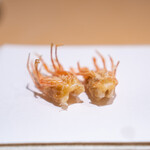 たきや - 車海老 脚