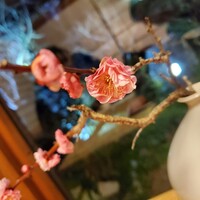 かちゃ料理 むとう - 