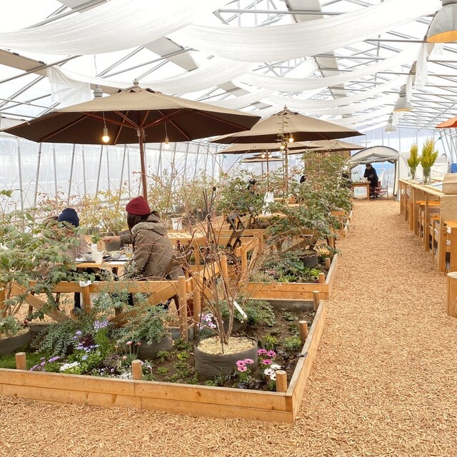 リトナベリーガーデン（ritona berry garden） - 名取（その他）の写真