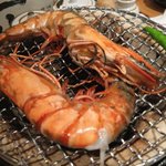 漁港直送 海鮮酒場 あんじ 麩屋町綾小路店 - 