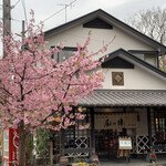 雅遊庵 風の陣 - 