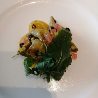 タテル ヨシノ ビズ _0