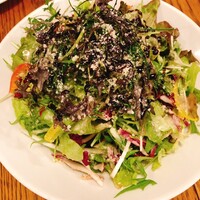ブラチェリア バーヴァ - 