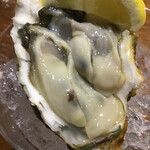 ビストロ ティアボ - 