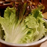 韓国伝統焼肉 カンホドン白丁 - 