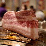 韓国伝統焼肉 カンホドン白丁 - 