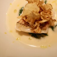 レフェルヴェソンス - 