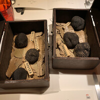 マルゴット エ バッチャーレ - 