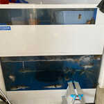 お食事処 割烹たんご - 