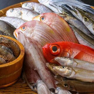 ◆海鮮が旨い店！鮮度が自慢の魚料理。おばんざいも♪
