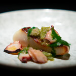 エクアトゥール - マナガツオのロースト 山クラゲ、タコ、 春菊のソース