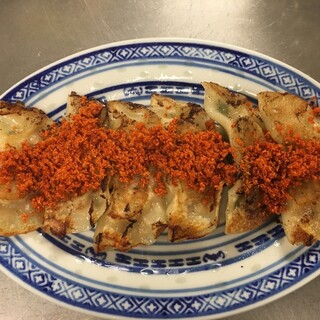 5 kinds of special spices “CHNAJA hand-wrapped 5-color Gyoza / Dumpling”