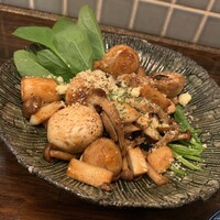 アカミヤコウシ - 