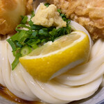 Kamatake Udon Akashiyaki - 