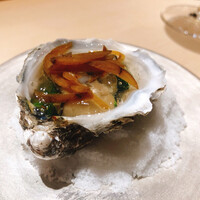 霜止出苗 - 