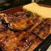 炭焼きうなぎ・かしわ 登河 - 