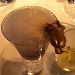 レフェルヴェソンス - アミューズ