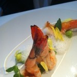 レフェルヴェソンス - 