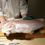 鮨 唐島 - 白甘鯛