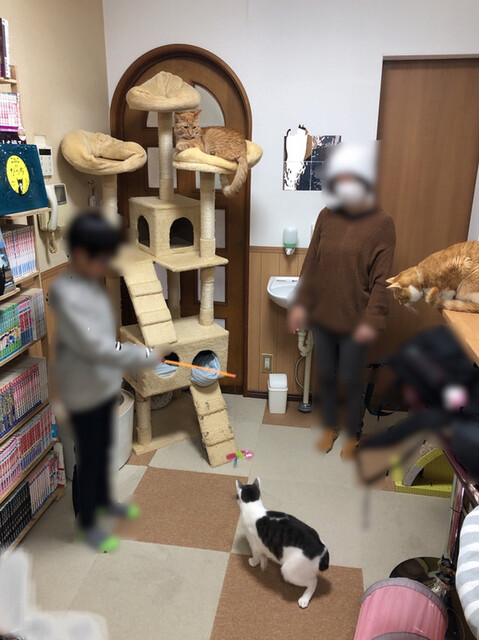 Cafe ゆうなぎ カフェユウナギ 花小金井 その他 食べログ Cafe ゆうなぎ カフェユウナギ 花小金井 その他 食べログ