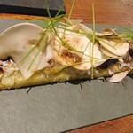 ドノスティア - 