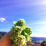 カレー独歩ちゃん - 独歩ちゃんのインスタからお借りしました。こんな写真を見たら行きたくなりました。