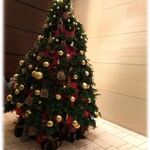 オールデイダイニング セリーズ - 