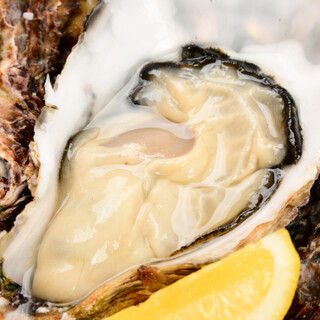 牡蠣・穴子・小鰯など、職人が織りなす熟練の業に舌鼓。