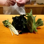 鮨 あらい - カイワレ大根、ワカメ、アイスプラント