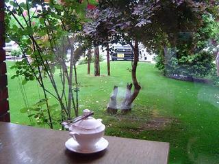 ヴェルデュール・カフェ - 芝生の緑が美しい