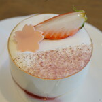 ファリナモーレ - 料理写真:桜のティラミス(450円)