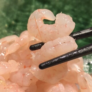 鹿児島錦江湾直送姫甘エビ