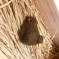 なかがわ - 