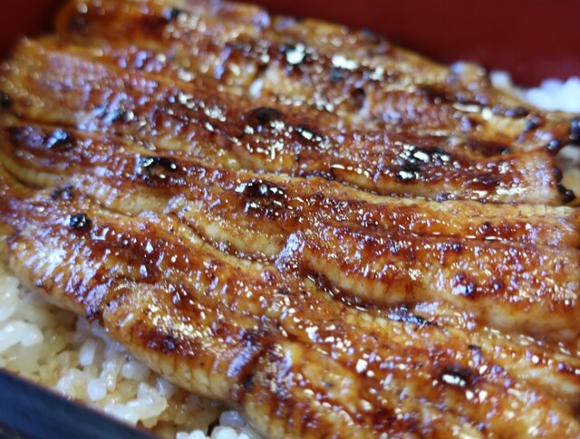 新松 五代目 新松 館山 うなぎ 食べログ