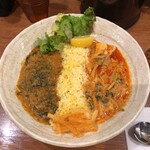 SPICY CURRY 魯珈 - 右が限定のゲーンカレーで、左が優しい野菜コルマカレー。