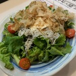 Healthy salad of small sardines and homemade tofu with homemade soy milk dressing 790 yen (869 yen including tax)