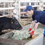 近江牛肥育牧場直営 ホルモン焼肉 犇 カメチク - 