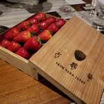 SUGALABO - "古都華"