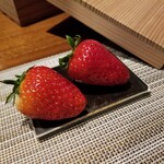 SUGALABO - "古都華"