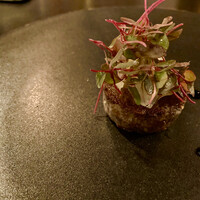 D'ORO HATSUDAI - 