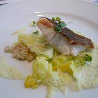 IL PINOLO 梅田 - 魚料理