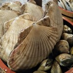 みさ和 活魚センター - 貝の盛り合わせ