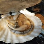 みさ和 活魚センター - ホタテ