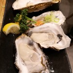 新宿OYSTERS,INC. - 