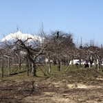 つねた食堂 - 公園からお店に歩けばこの景色