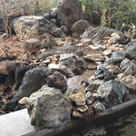 清流山水花 あゆの里 - 