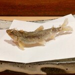 にい留 - 稚鮎 1