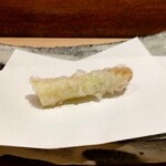 にい留 - 佐賀 ホワイトアスパラ 穂先