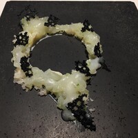 レフェルヴェソンス - 